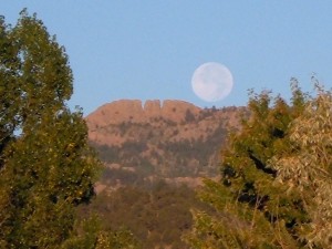 Northern Colorado Real Estate